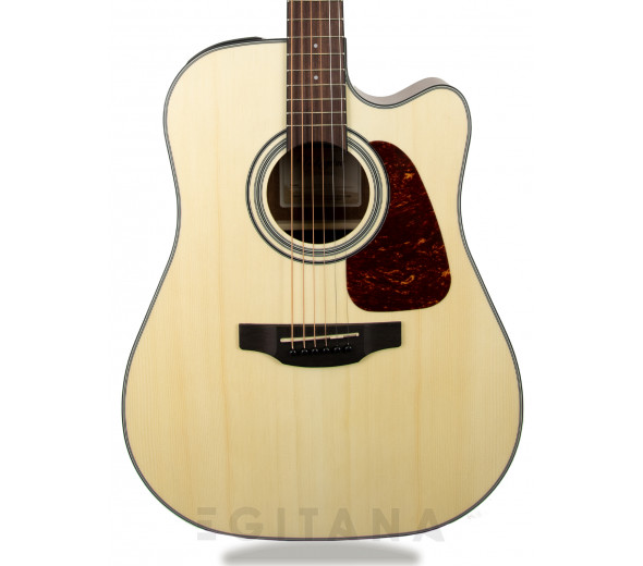 Takamine GD10CE-N Takamine GD10CE-N